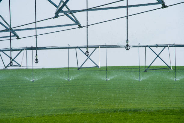 Center Pivot Irrigation System in a green Field stock photo
