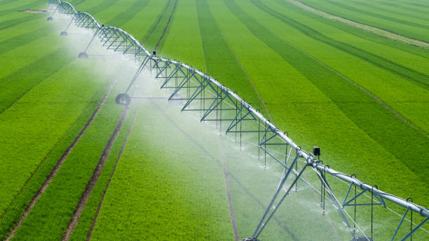 Center Pivot Irrigation System in a green Field stock photo