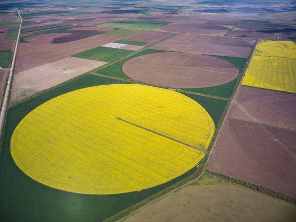 Center pivot irrigation system on a yellow rapeseed field aerial view stock photo