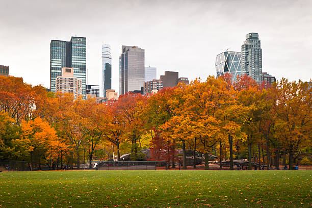 Central Park facing south, from the softball fields stock photo