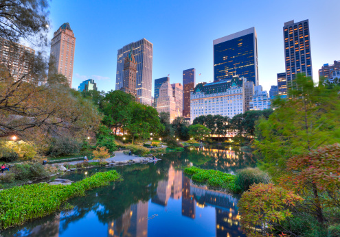 Central Park in New York City at dusk. Long exposure, motion blur amidst tree foliage.