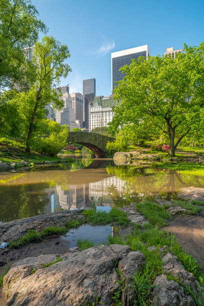 Central Park in spring stock photo