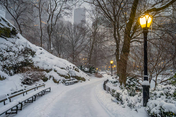 Central Park in winter stock photo