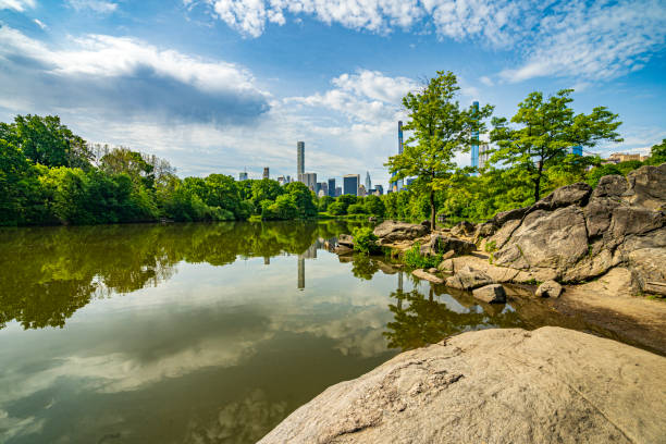 Central Park, New York City at the lake stock photo