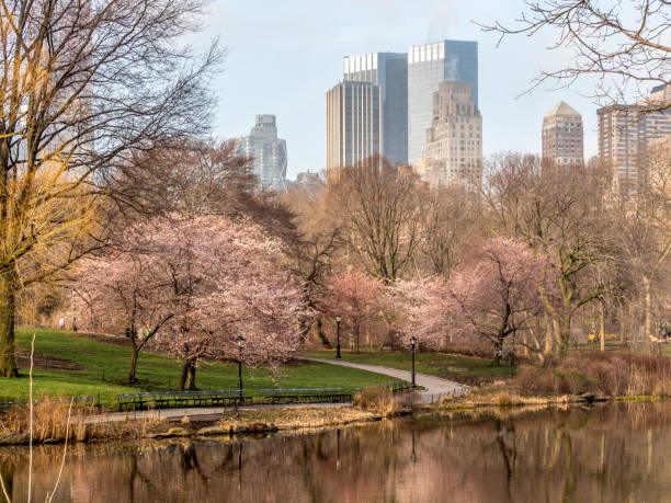Central Park, New York City spring stock photo