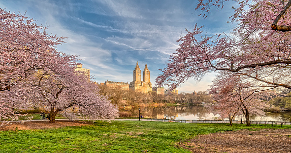 Central Park New York City Spring Stock Photo - Download Image Now - iStock