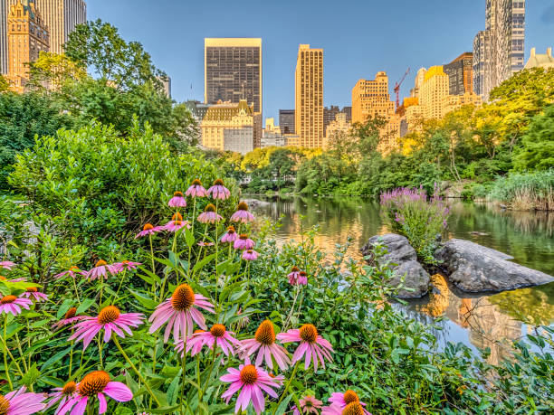 Central Park, New York City spring stock photo