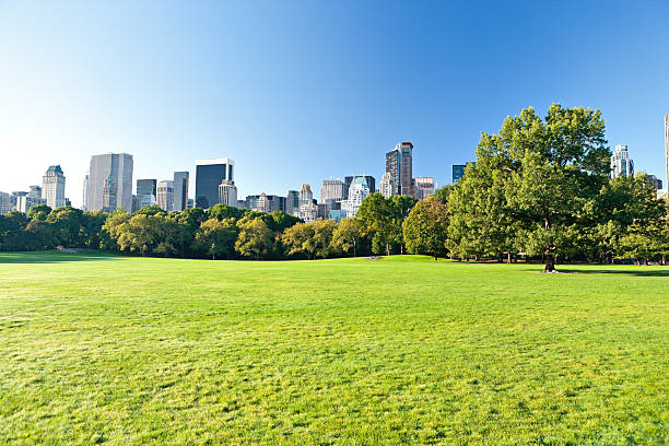 Central Park with Manhattan skyscrapers behind stock photo
