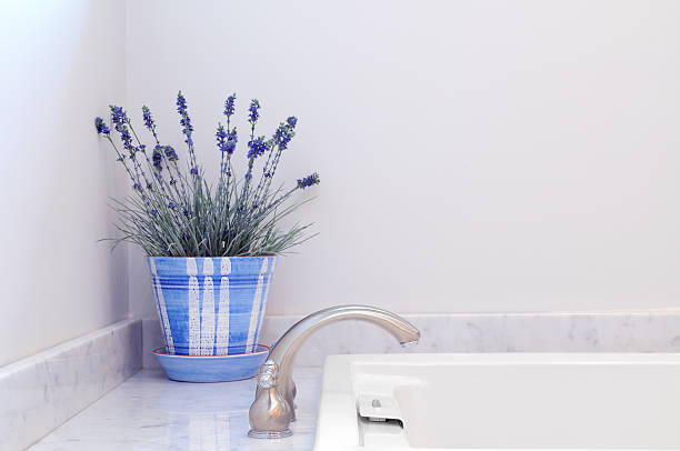Ceramic lavender potted plant displayed on bathroom counter stock photo
