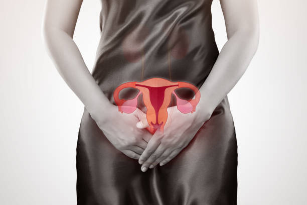 Cervix stock photo