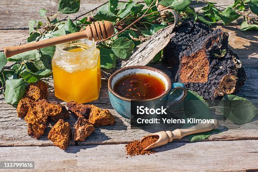 istock Chaga tea - a strong antioxidant, boosts immune system. Healthy pure natural. Wild Chaga Mushroom, making tea, coffee and herbal remedy 1337991616