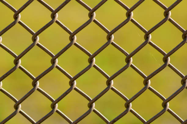 Chain Link on Green stock photo