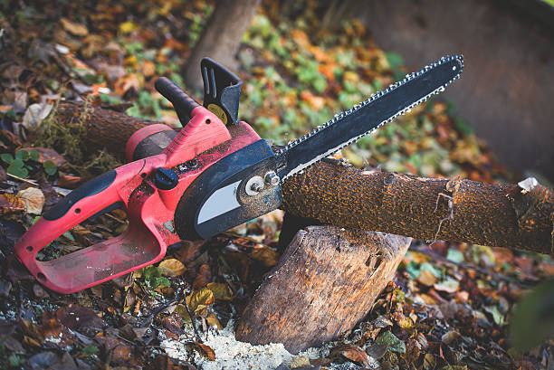 chainsaw in the garden on the block  tree service stock pictures, royalty-free photos & images