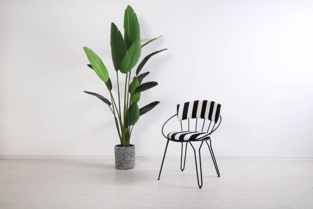 chaise avec des plantes à la maison à l’intérieur d’une pièce blanche vintage - fond studio minimaliste beton photos et images de collection
