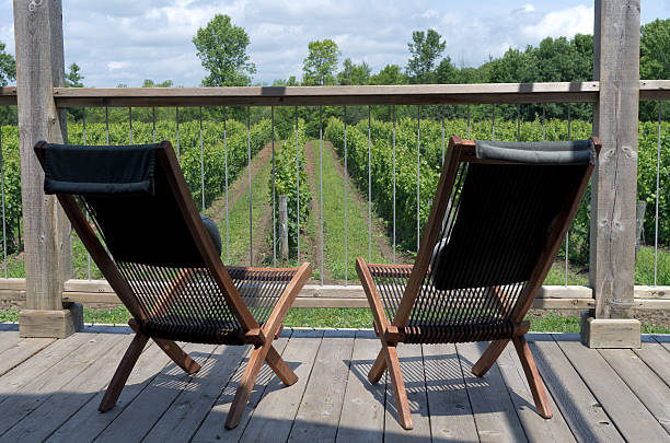 Chairs Overlooking Vineyard stock photo