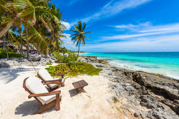 chairs under the palm trees on paradise beach at tropical resort. riviera maya - caribbean coast at tulum in quintana roo, mexico - maya bay imagens e fotografias de stock
