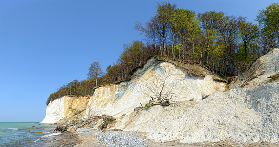 chalk rocks cliff of Rugen island (Germany, Mecklenburg-Vorpommern)