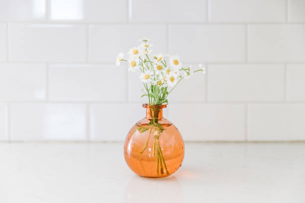 Chamomile in a vase stock photo