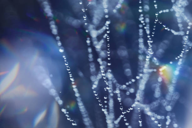 chaotic lines of spider web with dew drops of water in blue with prism light reflections stock photo