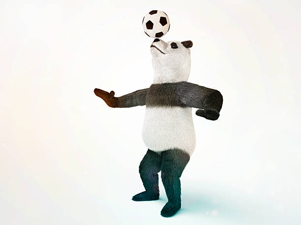 caractère circus bambou ours panda géant involontaire des animaux - panda foot photos et images de collection