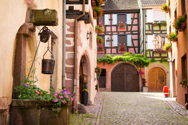 Charming alley in medieval village Riquewihr, Alsace, France Typical architecture half-timbered in Alsace riquewihr stock pictures, royalty-free photos & images