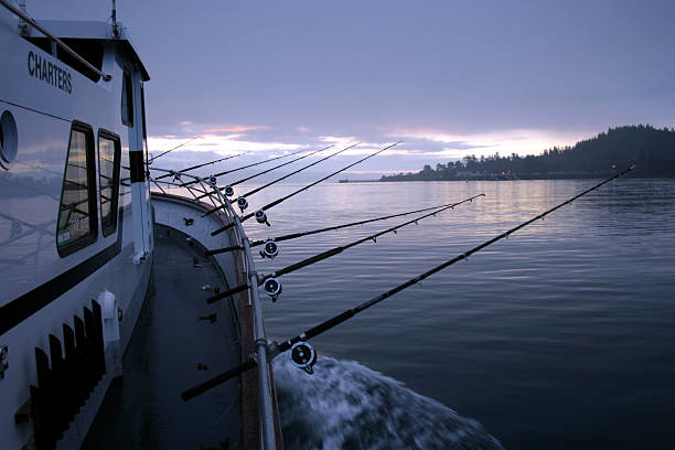 Charter Boat sport fishing dawn in Neah Bay Washington "Dawn Charter fishing for halibut in the Pacific Ocean waters Neah Bay, off the Olympic Peninsula of Washington State.  Look at more" neah bay stock pictures, royalty-free photos & images