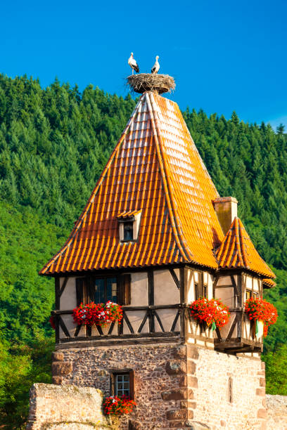 Chatenois, Alsace, France Chatenois, Alsace, France bas rhin stock pictures, royalty-free photos & images