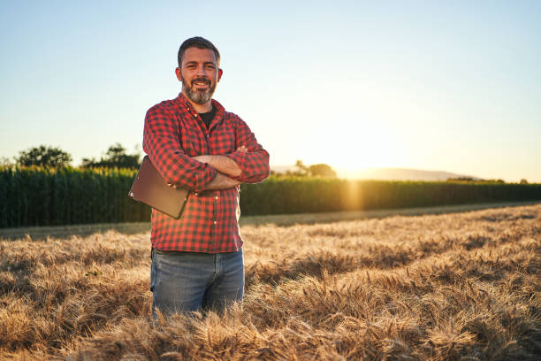 agronome joyeux et satisfait dans un champ de blé - portrait agriculteur photos et images de collection