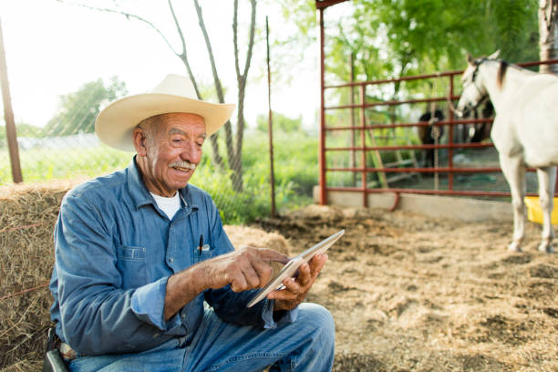 Cheerful senior mexican man sitting on haystack with digital tablet A cheerful senior mexican man sitting on haystack at a horse ranch, using a digital tablet and smiling. medium shot stock pictures, royalty-free photos & images