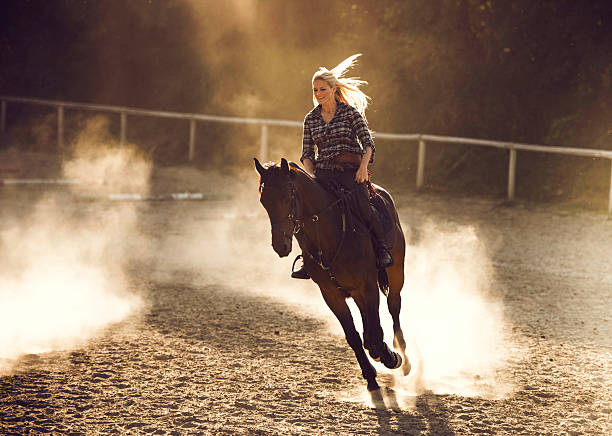 cheerful woman practicing with her horse outdoors. - smiling earth horse bildbanksfoton och bilder