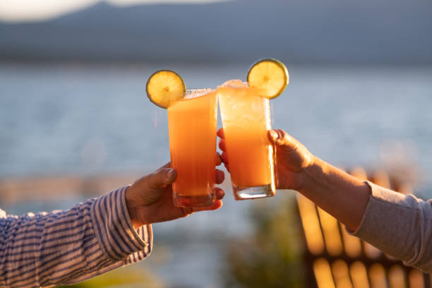 Cheers at Sunset A celebratory toast lakeside at sunset with two orange cocktails on the rocks (could be Mai Tai's, Tequila Sunrises, Screwdrivers, or any number of drinks) garnished with lime wheels. screwdriver drink stock pictures, royalty-free photos & images
