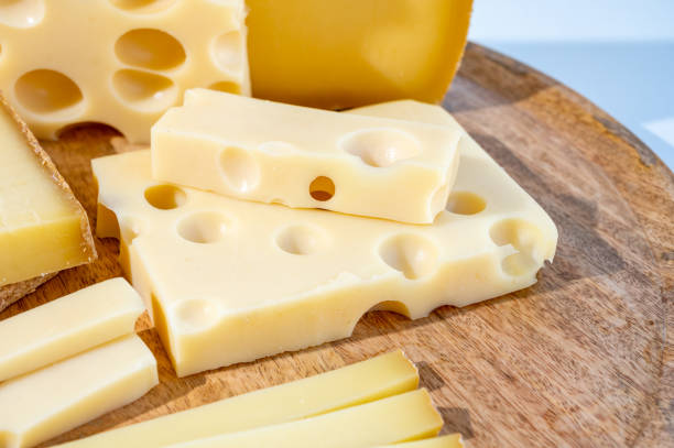Cheese collection, hard French cheeses comte and emmentaler with round holes made from cow milk stock photo