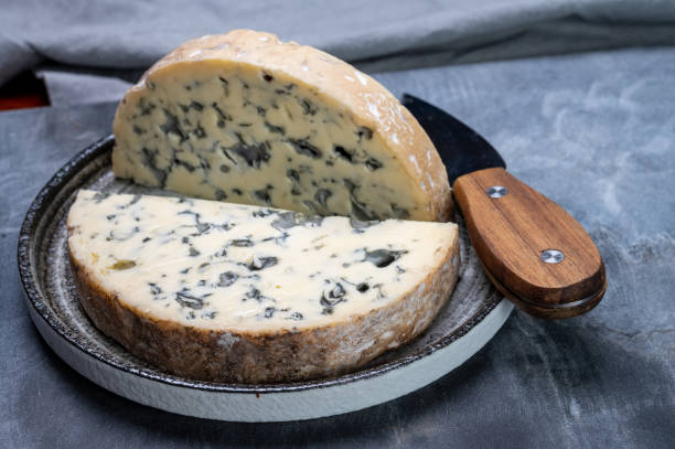 Cheese collection, piece of French blue cheese fourme d'ambert stock photo