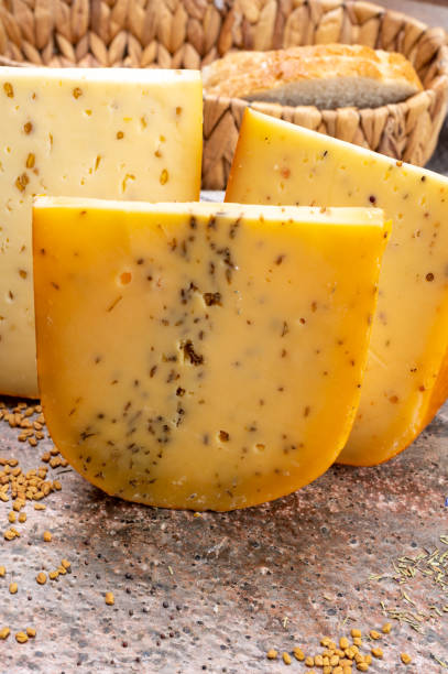 Cheese collection, pieces of hard yellow Dutch gouda cheese with dried caraway, mustard, cumin, fenugreek, pepper seeds stock photo