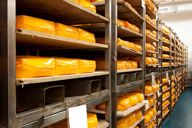 Industrial production of hard cheeses. Cheese is very tasty and...