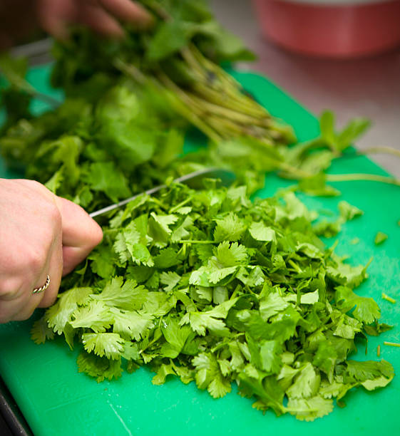 Chef chopping herbs. stock photo