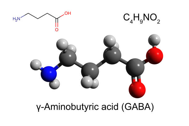 Chemical formula, skeletal formula and 3D ball-and-stick model of γ-Aminobutyric acid stock photo