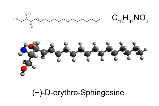 Chemical formula, skeletal formula and 3D ball-and-stick model of (−)-D-erythro-Sphingosine stock photo