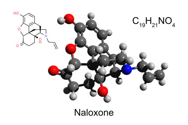 Chemical formula, skeletal formula and 3D ball-and-stick model of naloxone stock photo