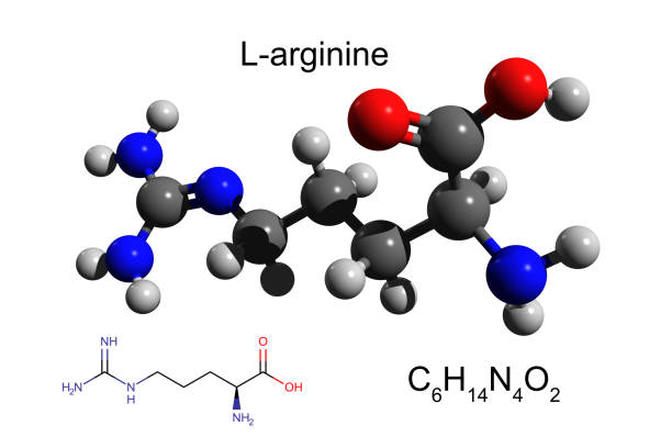 Chemical formula, structural formula and 3D ball-and-stick model of L-arginine stock photo