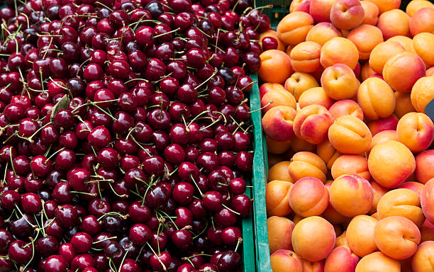 Cherries and Apricots stock photo
