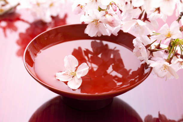 桜の花びらと杯 - 花見 ストックフォトと画像