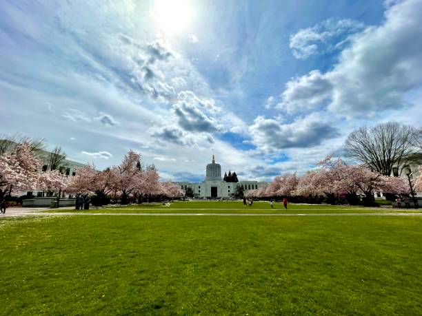 Cherry blossoms at the Oregon State Capitol Cherry blossom trees on the Capitol Mall in Salem, Oregon with the capitol building in the background. oregon state capitol stock pictures, royalty-free photos & images