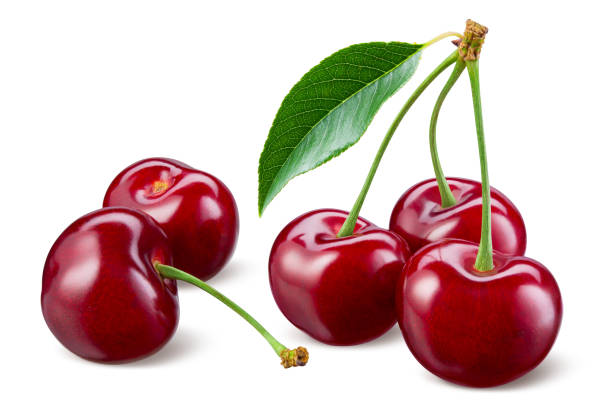 Cherry isolated. Cherries with leaves on white background. Sour cherries on white. With clipping path. Full depth of field. Cherry isolated. Cherries with leaves on white background. Sour cherries on white. With clipping path. Full depth of field. cherry stock pictures, royalty-free photos & images