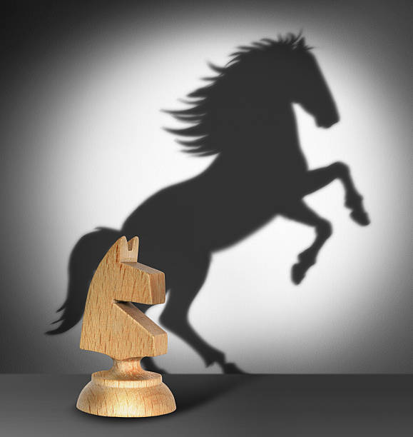 Chess horse with  shadow stock photo