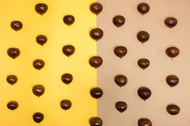 Chestnut pattern. stock photo