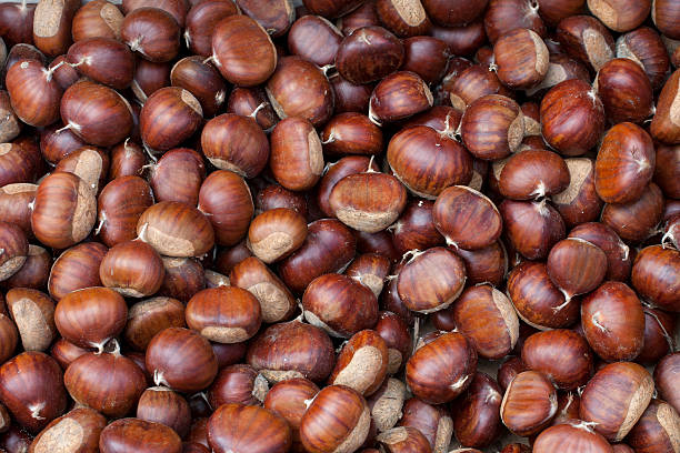 chestnuts stock photo