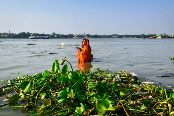 Chhatah Festival A women is performing her ritual on the river of hoogly, for the occsion of Chhath Puja in Kolkata, India. chhath stock pictures, royalty-free photos & images