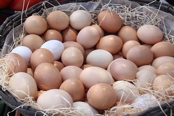 Chicken egg basket stock photo