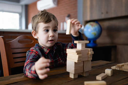 Child Boy Playing With Wooden Toy Blocks At Home